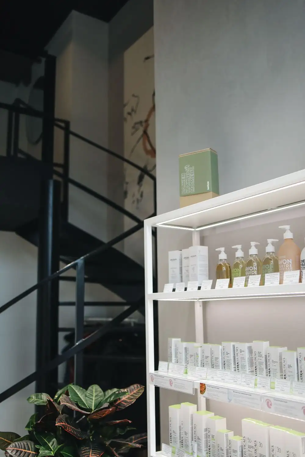 Luxury Salon Interior Paddington